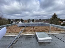 Unbetiteltes Referenzbild