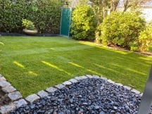 Unbetiteltes Referenzbild