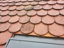 Unbetiteltes Referenzbild