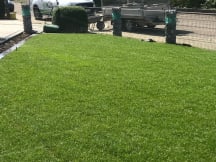 Unbetiteltes Referenzbild