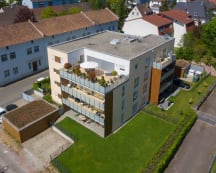 Unbetiteltes Referenzbild