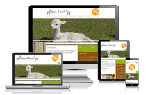 Unbetiteltes Referenzbild