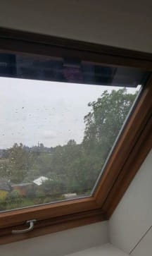 Unbetiteltes Referenzbild