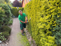 Unbetiteltes Referenzbild