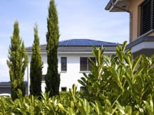 Unbetiteltes Referenzbild