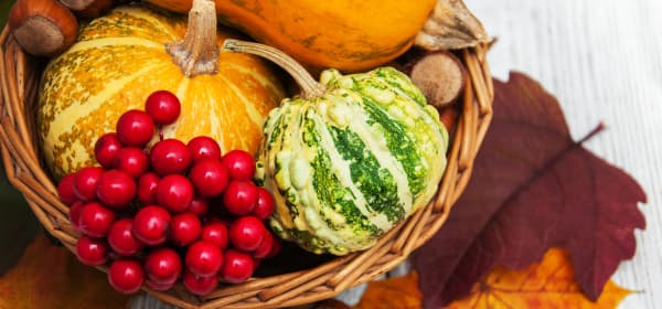 Korb mit Zierkürbissen, Beeren und Kastanien steht hölzerner Oberfläche mit bunten Herbstblättern
