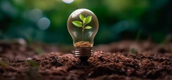 Glühbirne auf Waldboden mit kleiner grüner Pflanze darin