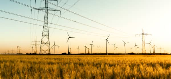 Strommasten und Windräder auf einer Wiese bei Sonnenuntergang