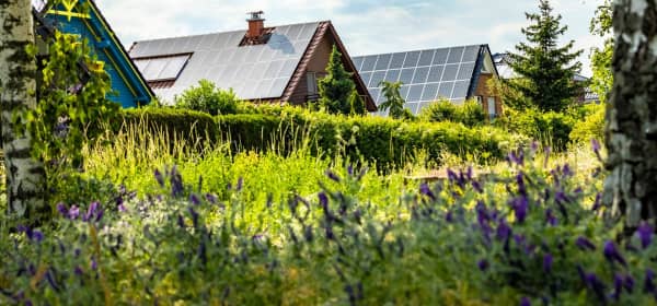 Mehrere Wohnhäuser mit Dächern, auf denen Solaranlagen installiert sind, mit grüner Wiese und Bäumen im Vordergrund unter blauem, leicht bewölktem Himmel