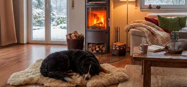 Hund liegt auf dem Boden eines Wohnzimmers mit brennendem Kaminofen