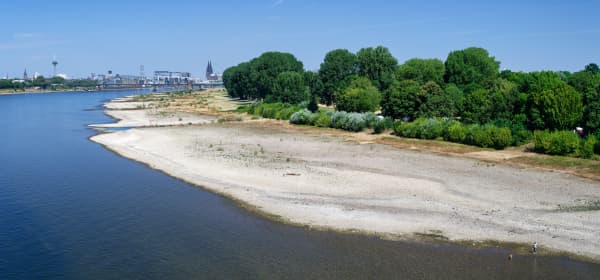Niedriger Wasserstand des Rheins in Köln mit breiten, trockenen Kiesbänken