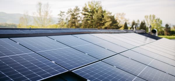 Solarmodule auf einem Schrägdach mit grünen Bäumen und Himmel im Hintergrund