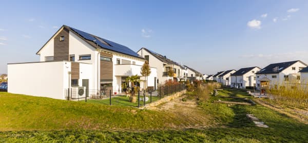 Zwei Reihen moderner Ein- und Zweifamilienhäuser mit Garten
