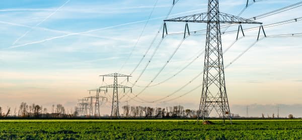 Strommasten auf grüner Wiese mit Bäumen im Hintergrund und blauem, leicht bewölktem Himmel