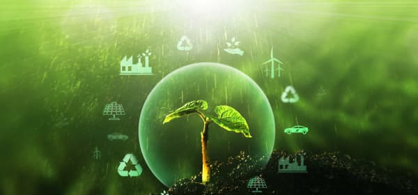 Sprössling in der Erde vor grünem Hintergrund mit schematischer Darstellung von Quellen für erneuerbare, nachhaltige Entwicklung wie E-Mobilität, Windkraft und Solar