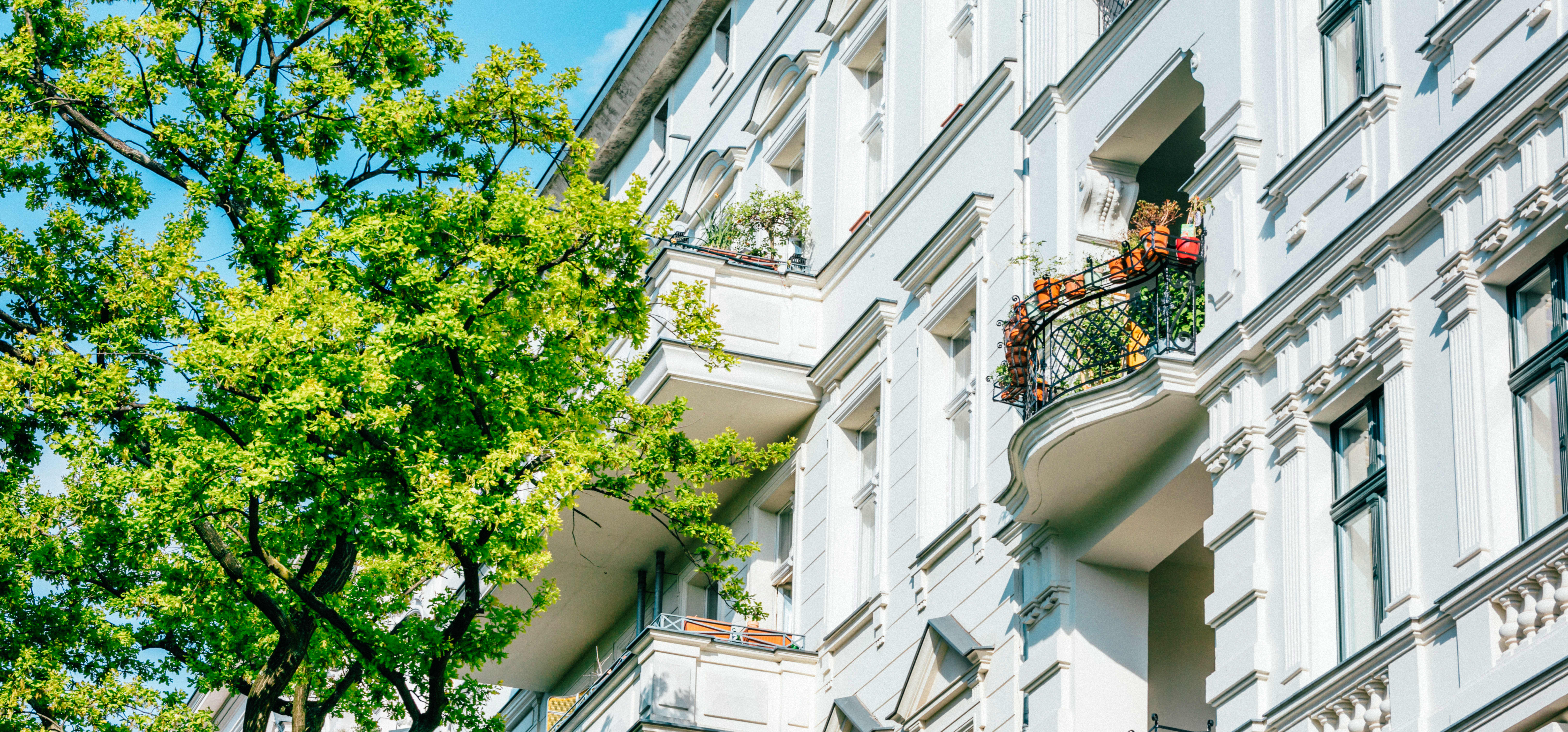 Seitliche Ansicht der weißen Fassade eines Mehrfamilienhauses in Berlin mit Stuck und Balkonen, davor ein grüner Baum