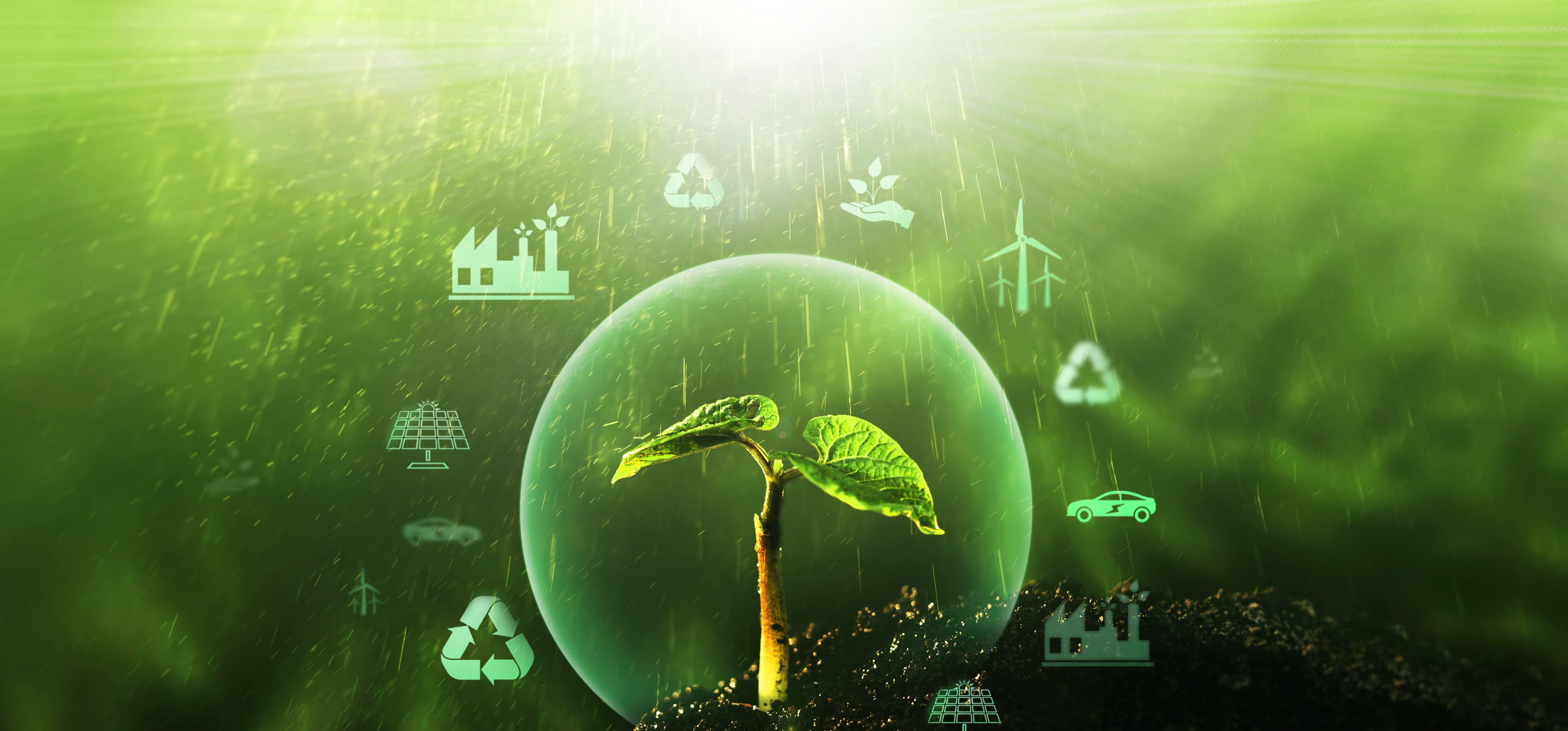 Sprössling in der Erde vor grünem Hintergrund mit schematischer Darstellung von Quellen für erneuerbare, nachhaltige Entwicklung wie E-Mobilität, Windkraft und Solar