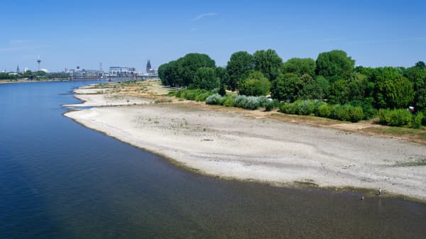 Niedriger Wasserstand des Rheins in Köln mit breiten, trockenen Kiesbänken