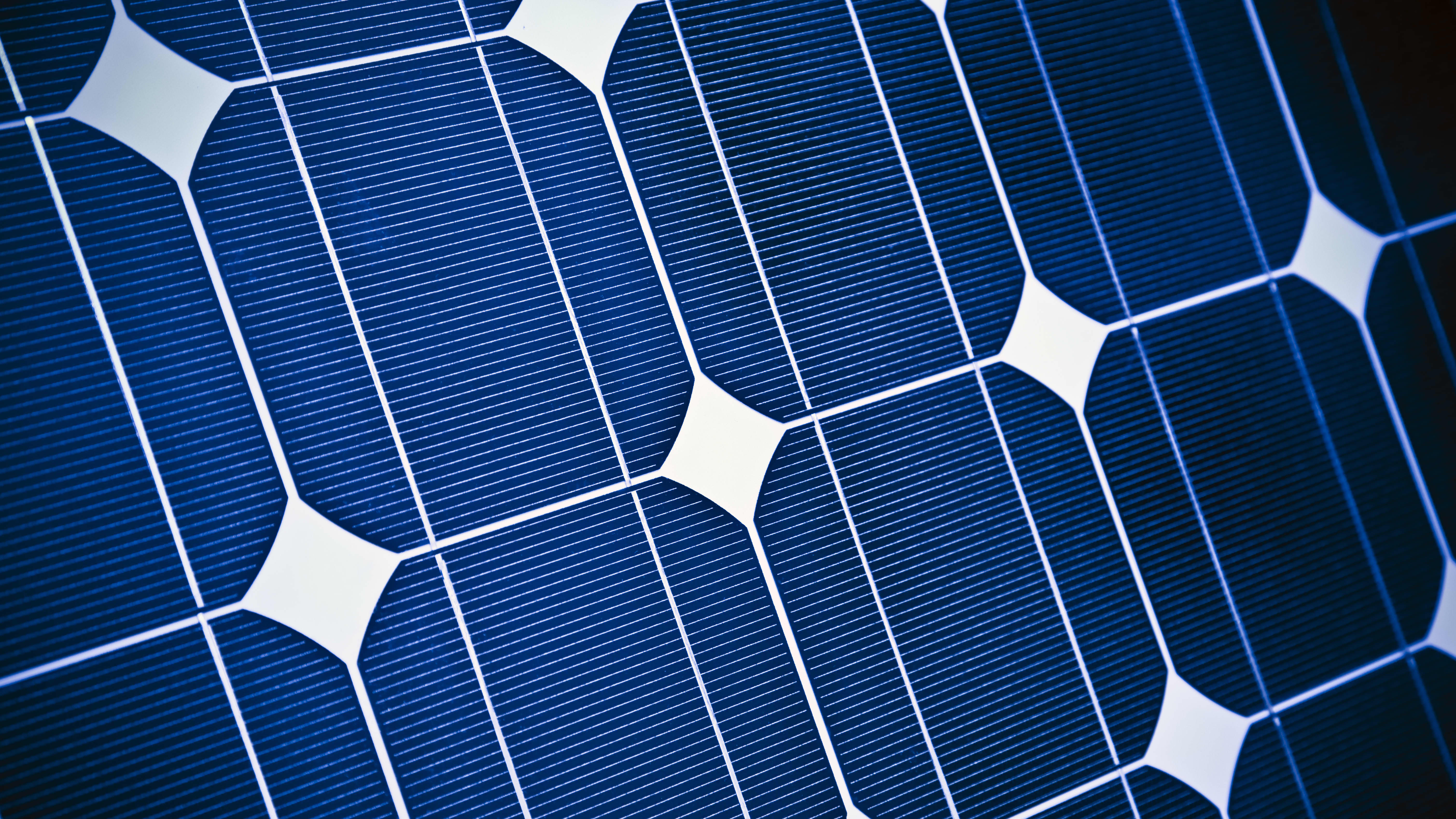 Nahansicht der Zellen in einem blauen Solarmodul