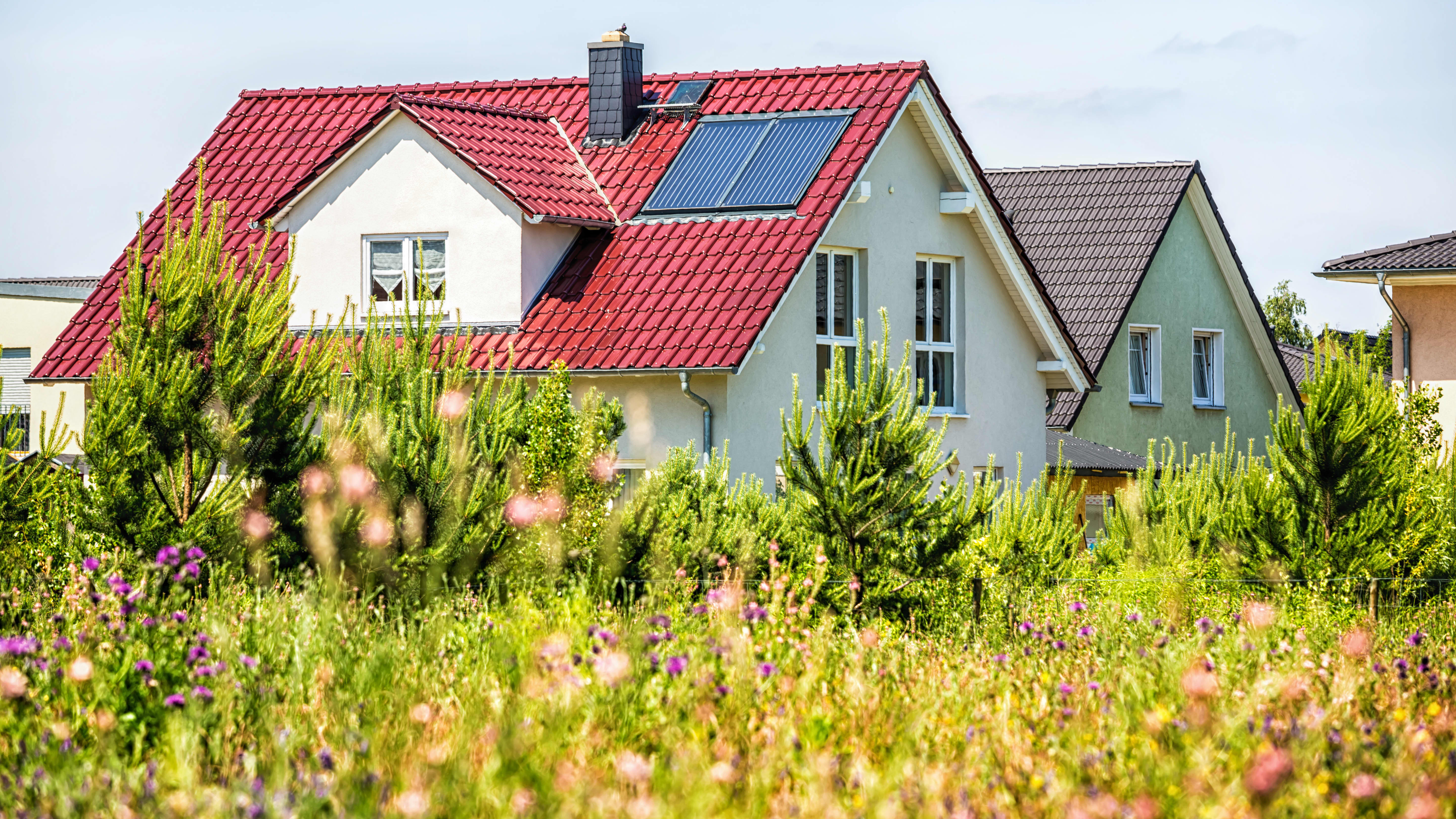 Grüne Wiese mit Blumen und kleinen Bäumen mit Einfamilienhäusern im Hintergrund