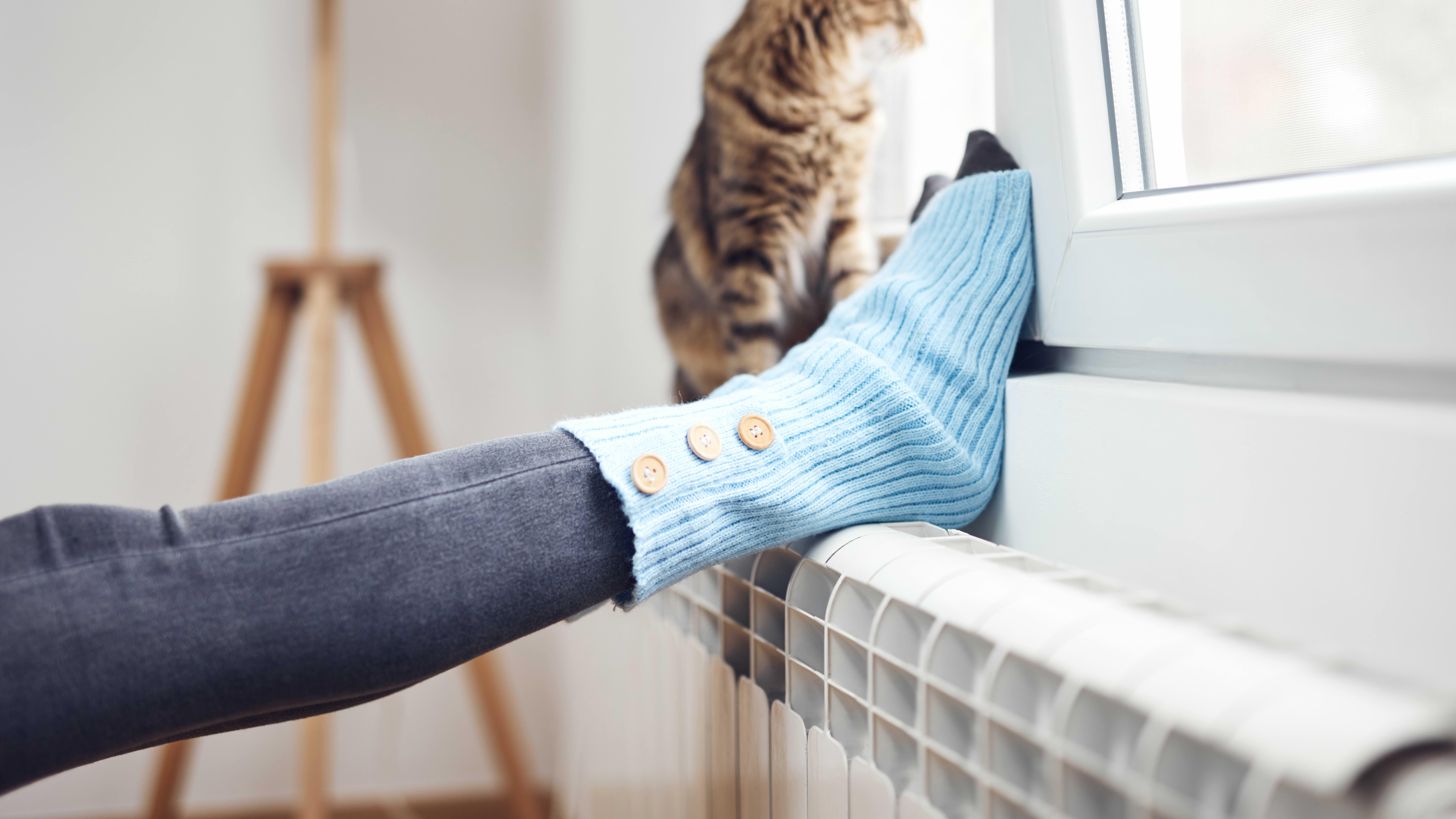 Füße einer jungen Frau auf einem Heizkörper unter einem gekippten Fenster, daneben sitzt eine Katze auf der Heizung und schaut nach draußen