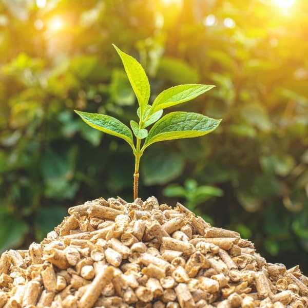Pellets für einen klimafreundlichen Heizungstausch