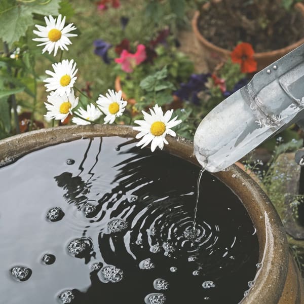 Regenrinne führt in gefüllte Regentonne im Garten