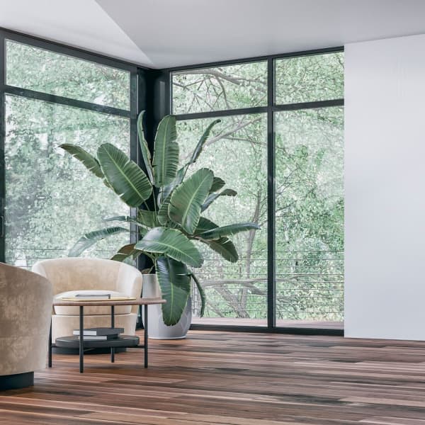 Annähernd unmöblierter, moderner Innenraum mit einer großen Topfpflanze, gelben Lounge-Stühlen und einem Couchtisch vor großen Eckfenstern mit Gartenblick und einer leeren weißen Wand auf der anderen Seite