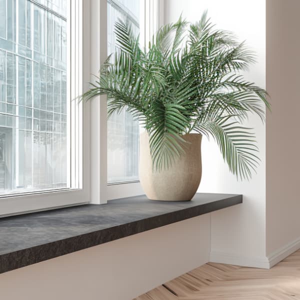 Granit-Fensterbank mit Zimmerpflanze am Fenster