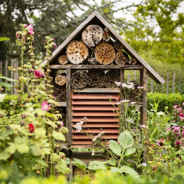 Garten mit einem großen Bienenhotel.