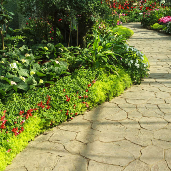 Bild eines Gartenweges mit Beeten seitlich angelegt.