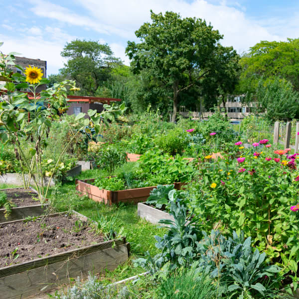 Garten mit verschiedenen Blumenbeeten.