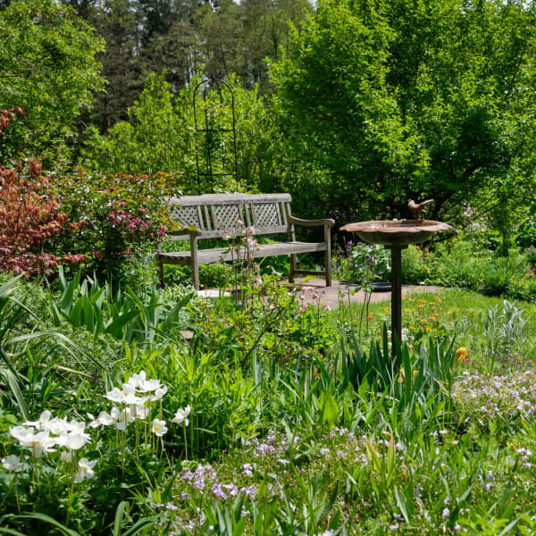 Garten mit vielen Blumen, Sträuchern und Bäumen.