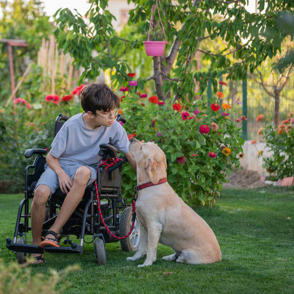 Junge im Rollstuhl mit Hund