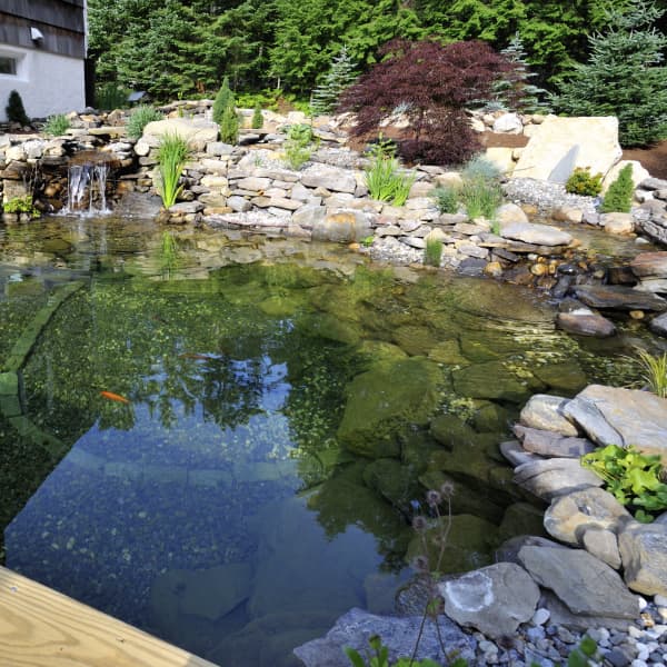 Großer Gartenteich mit Steinumrandung