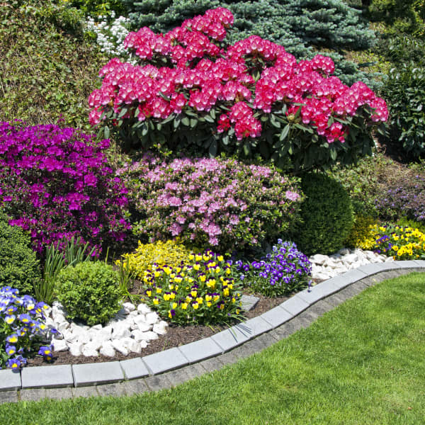 Garten mir Blumenbeet und grünem Rasen.