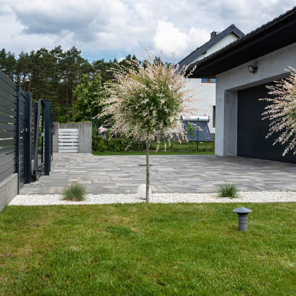 Vorgarten mit einer gepflasterten Einfahrt und Zaun.