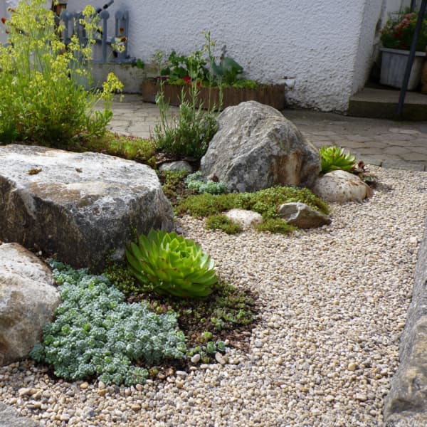 Steingarten mit großen Findlingen, Kies und Pflanzen.