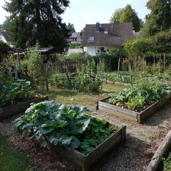 Bauerngarten mit vielen Beeten.