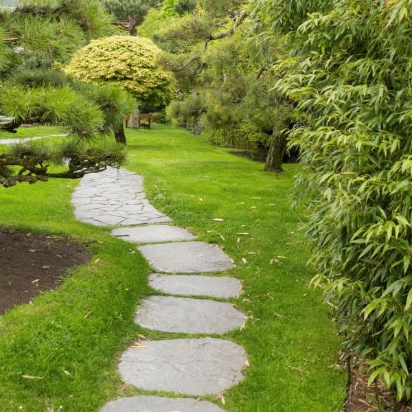 Von Rasen gesäumter Steinweg verläuft durch einen grünen Garten