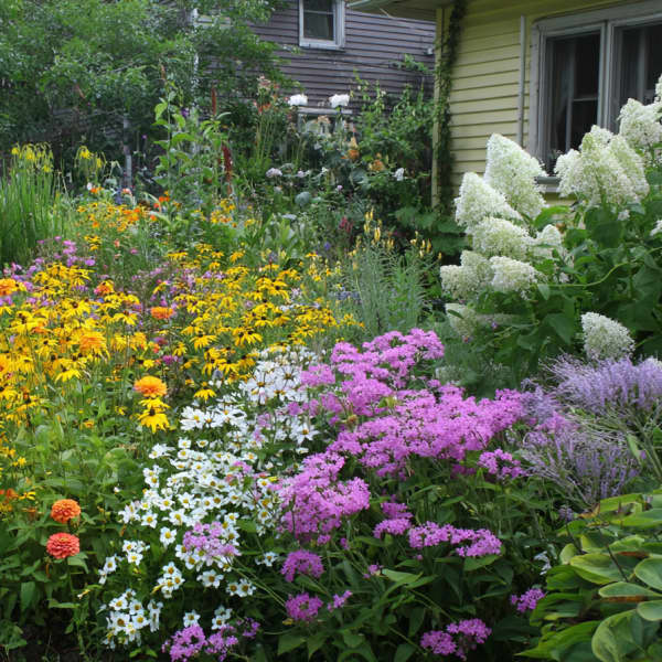 Ein Garten mit einem bunten Blumenbeet und einem Schuppen im Hintergrund.