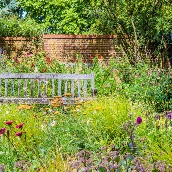Garten mit vielen Blumen und Sträuchern.