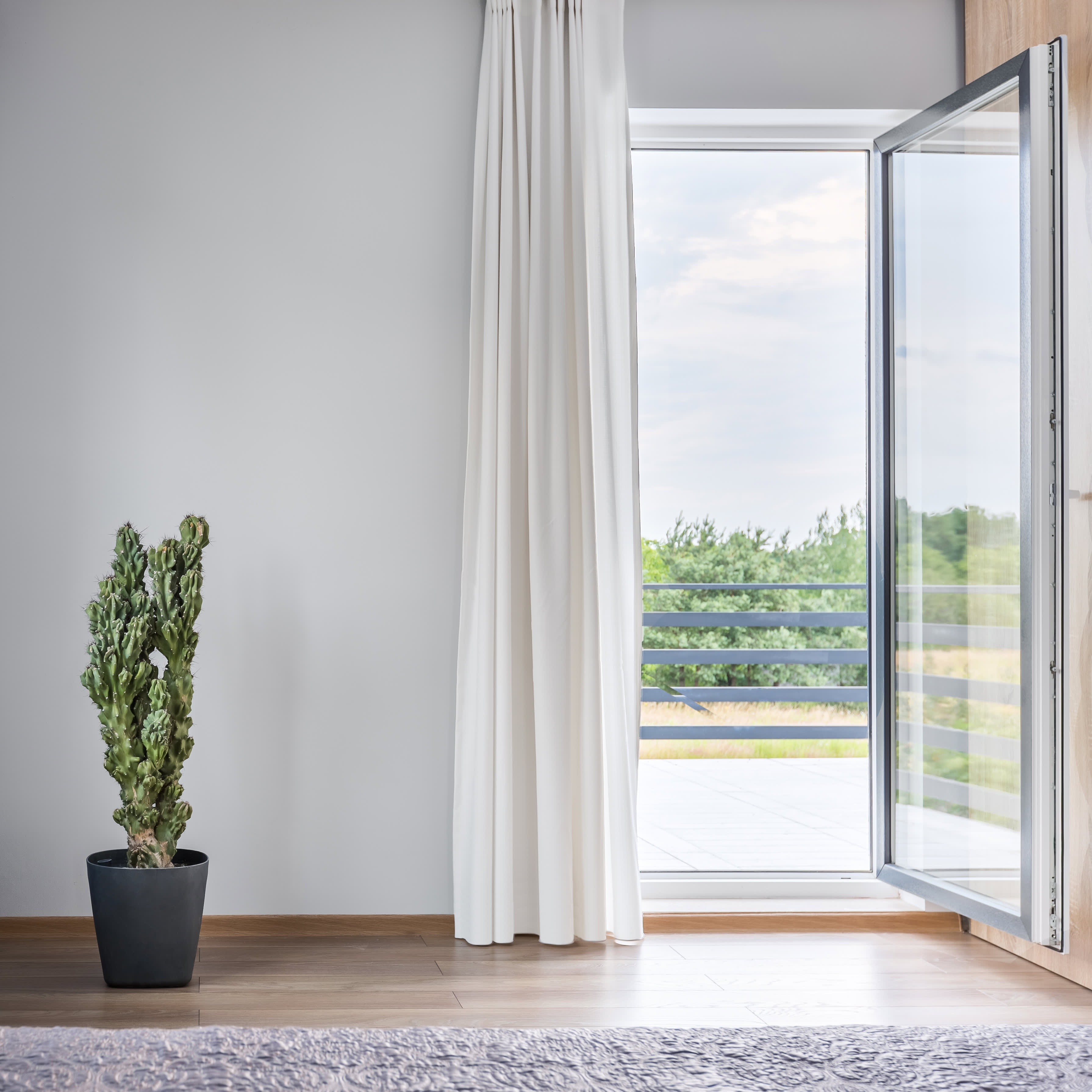 Minimalistisches Zimmer mit Kaktus und geöffneter Balkontür