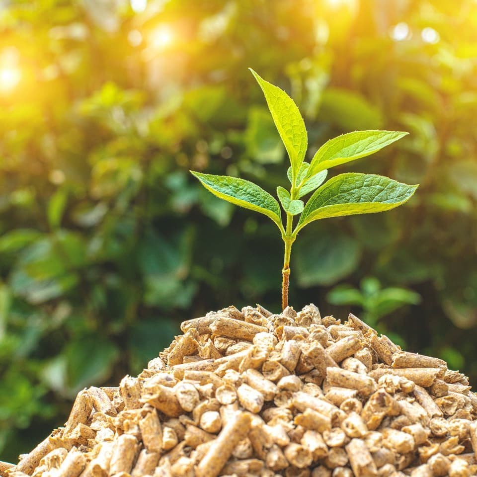 Pellets für einen klimafreundlichen Heizungstausch