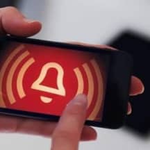 Unbetiteltes Referenzbild