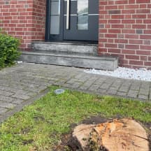 Unbetiteltes Referenzbild