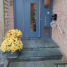 Unbetiteltes Referenzbild