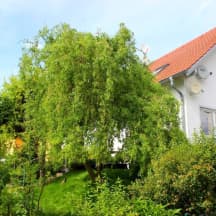 Unbetiteltes Referenzbild