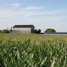 Unbetiteltes Referenzbild