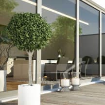 Unbetiteltes Referenzbild